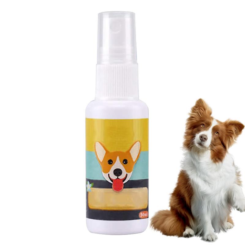 Travel Accessories In Train - Pot d'entraînement portable pour animaux de