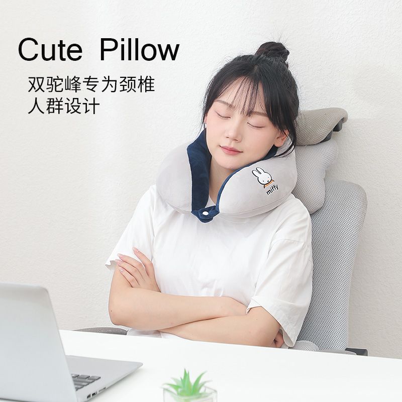 Cadeau d'anniversaire : Oreill - Travel Accessories Pillow avis et prix
