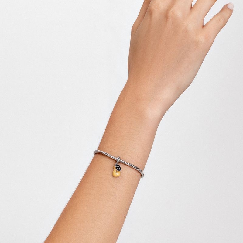 Accessoires de bracelet à brel - Travel Accessories Drawing avis et prix